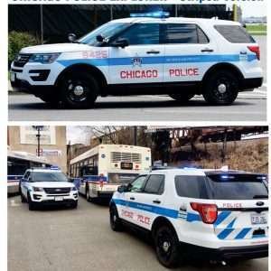 Chicago Police, Illinois Striped Version – Explorer